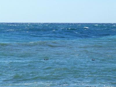 Прикрепленное изображение: s01a.jpg